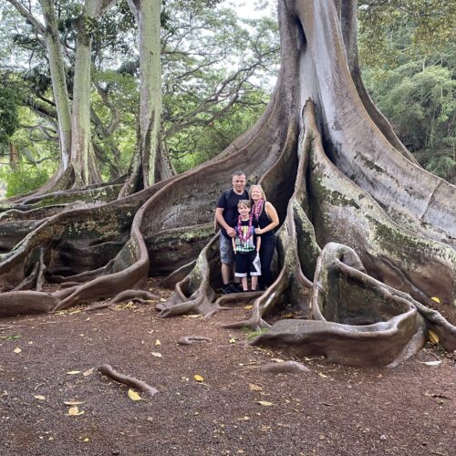 A man in a black shirt, child in a black shirt with a print on it and a blonde woman wearing flowers around her neck standing at the base of a tree with huge roots